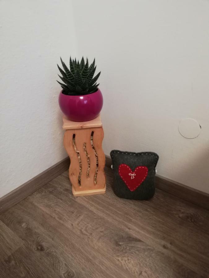 Schmaranzer Apartment Bad Ischl Bagian luar foto
